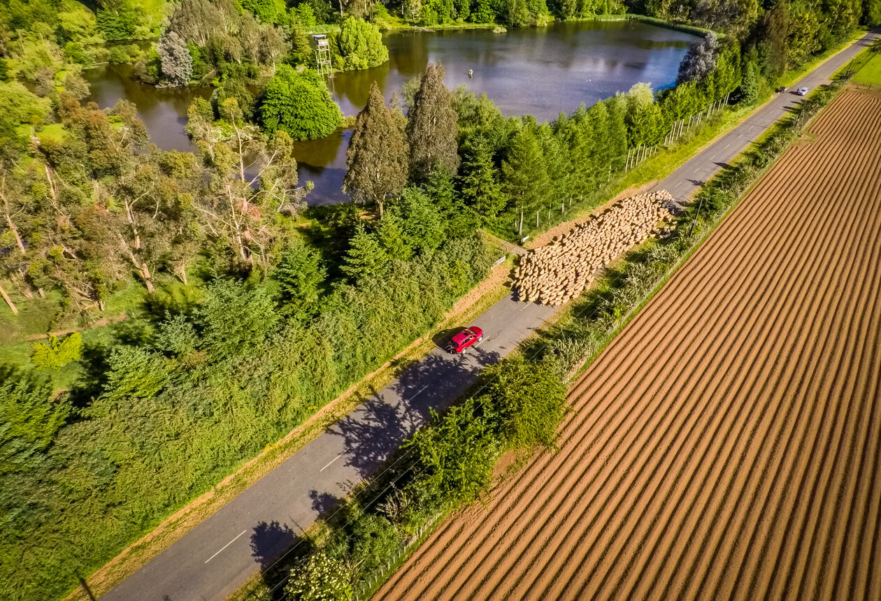 Journey through heartland New Zealand and discover hidden valleys, vast rolling farmland and ancient native forest.