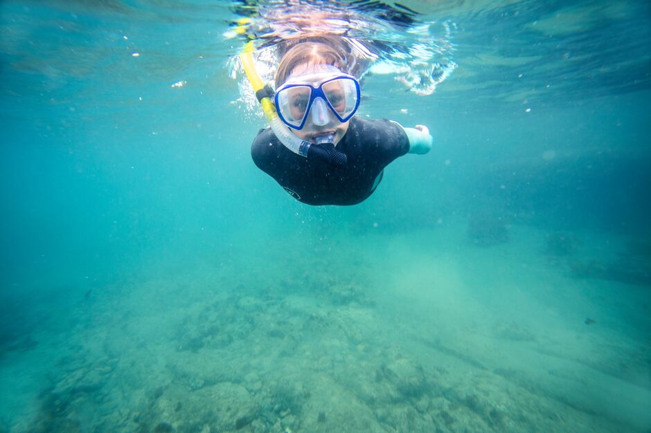 Kid snorkelling at Goat Island Marine Reserve, New Zealand