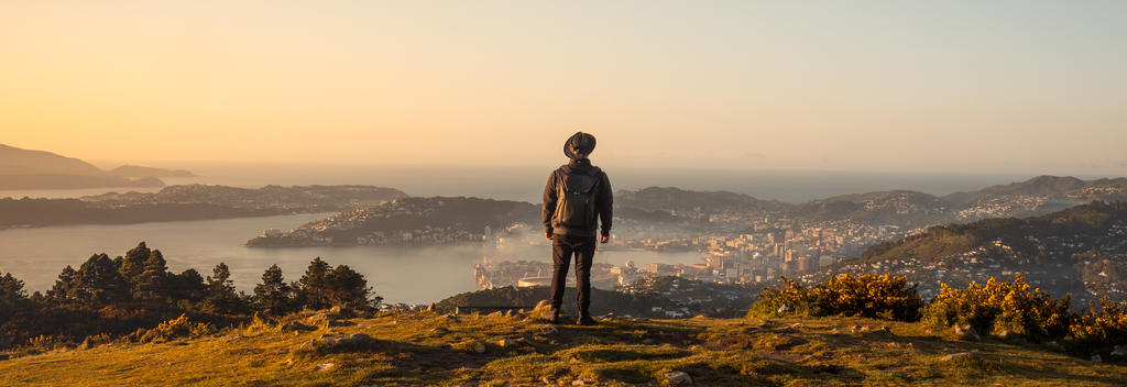 Person admiring the sunrise at Northern Walkway viewpoint, Wellington