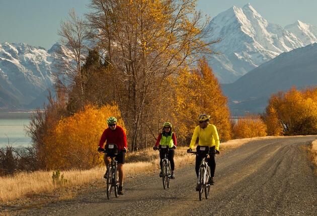 Focus on the riding and let someone else take care of the logistics and book a guided cycling tour in New Zealand. Find out where to start. 