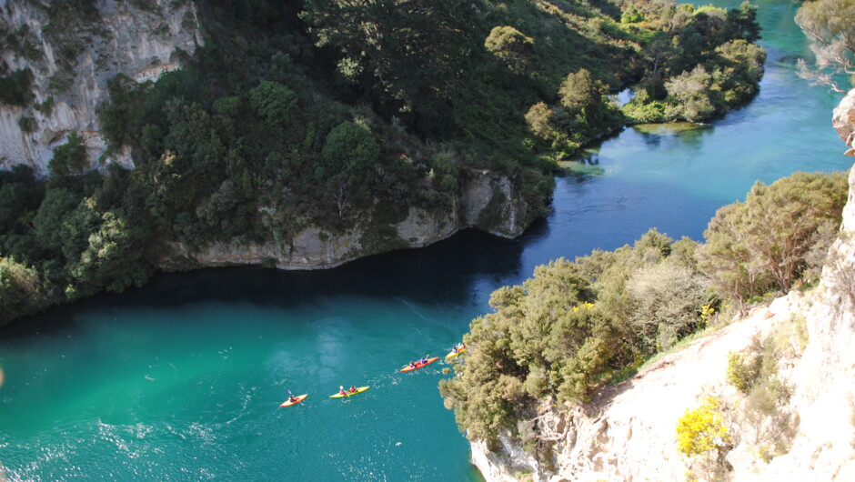 Waikato River Float Tour