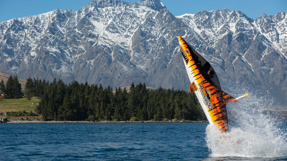 The tiger shark jumping in front of the Remarkables