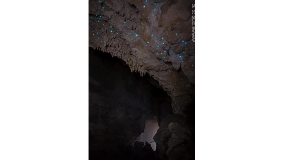 Glowworms in the Lost World at Waitomo Caves