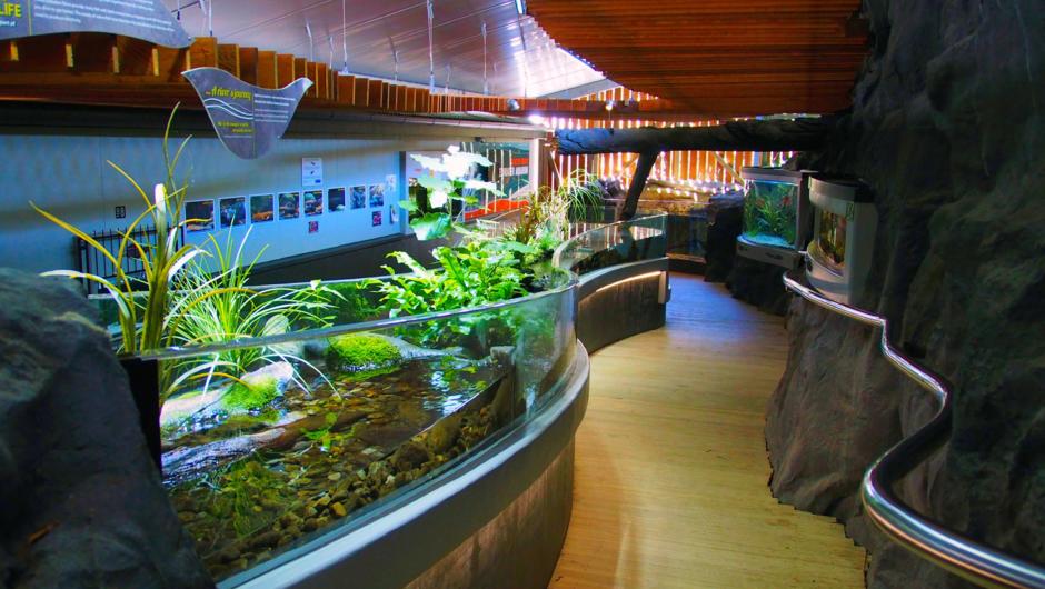 Native Aquarium