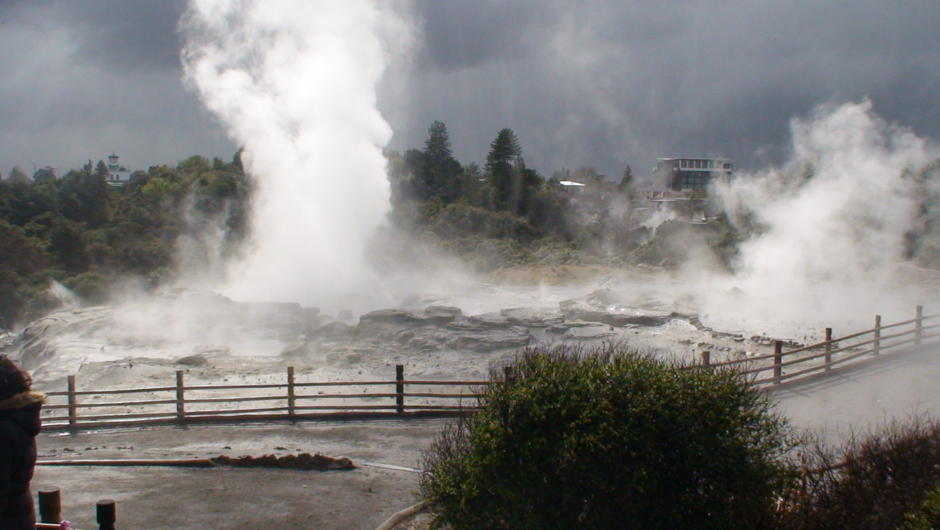 Can't miss the geyser on the North Island.