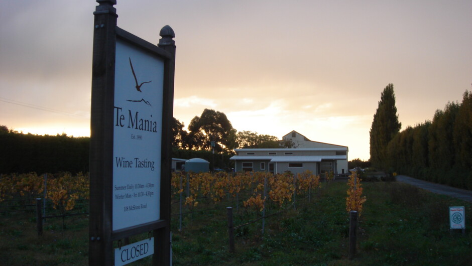 Gorgeous tastings at our Cellar Door