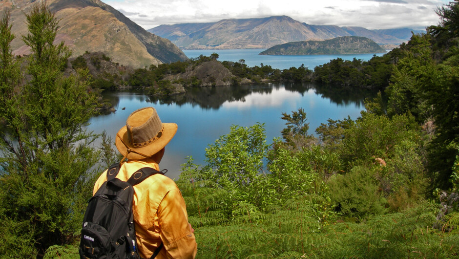 Natures infinity pool – one of the many view points of Arethusa Pool along the nature walk on Eco Wanaka Adventures Lake Cruise and Island Nature Walk.
