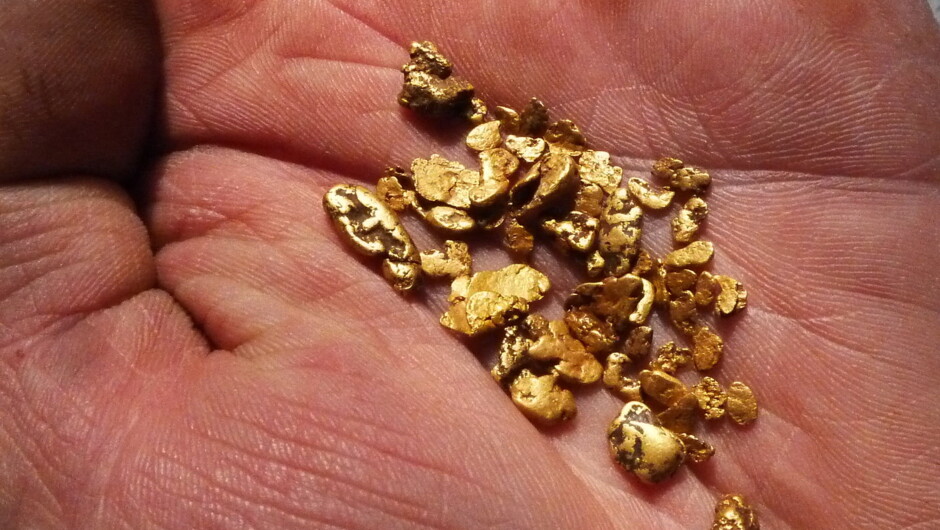 Join us learning the exciting art of gold hunting. From 1 hour learning gold panning to full day trips to the forest.