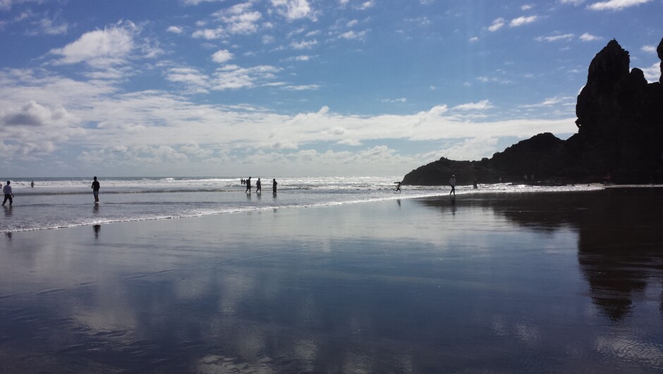 West Auckland tours, Piha, Bethells, Muriwai & Kumeu