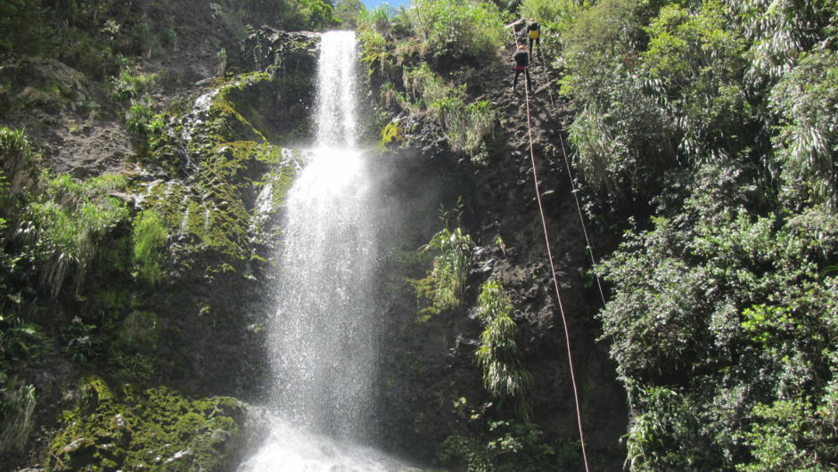 No experience necessary, you can jump right into your Auckland canyoning adventure amidst coastal subtropical rainforest only 40mins from Auckland CBD
