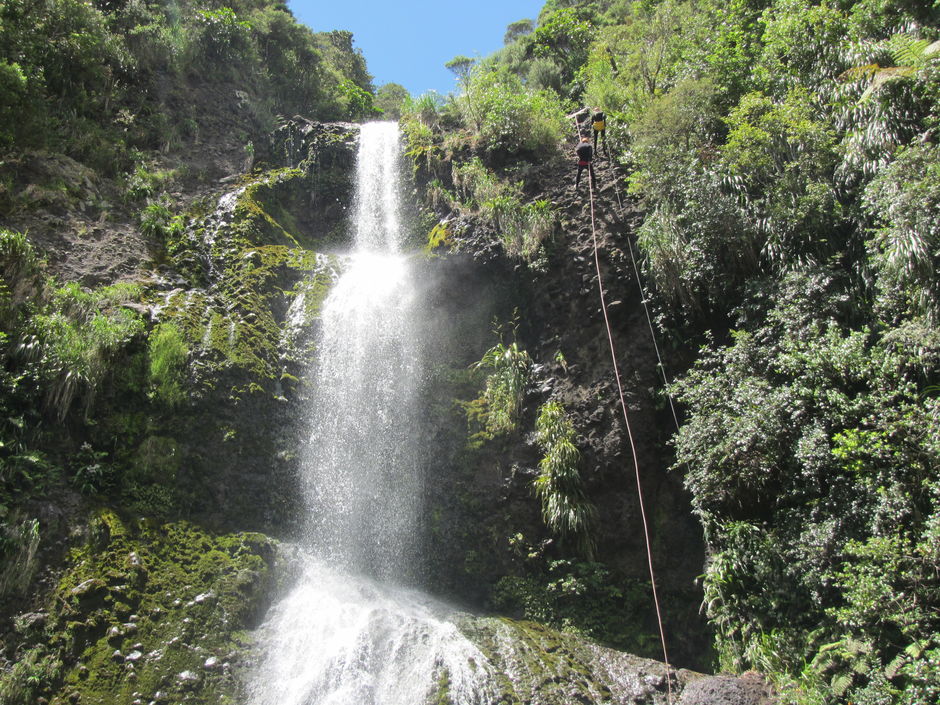 No experience necessary, you can jump right into your Auckland canyoning adventure amidst coastal subtropical rainforest only 40mins from Auckland CBD