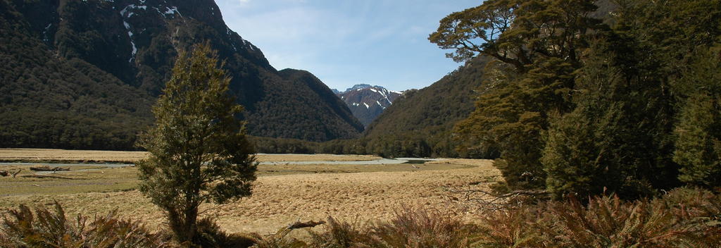 Routeburn Flats on the Routeburn Track