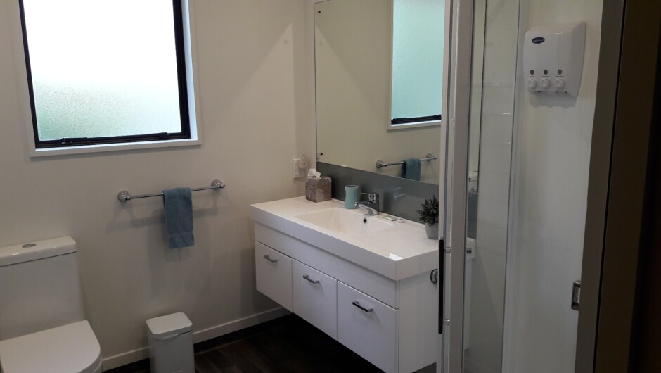 3-Bdrm Apartment:
Bathroom