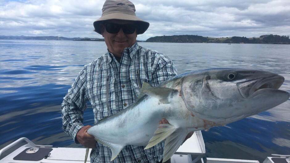 Yellowtail Kingfish