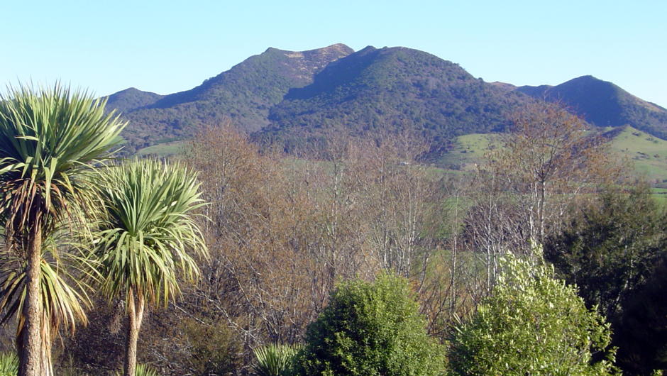 View of Hokonui Hills