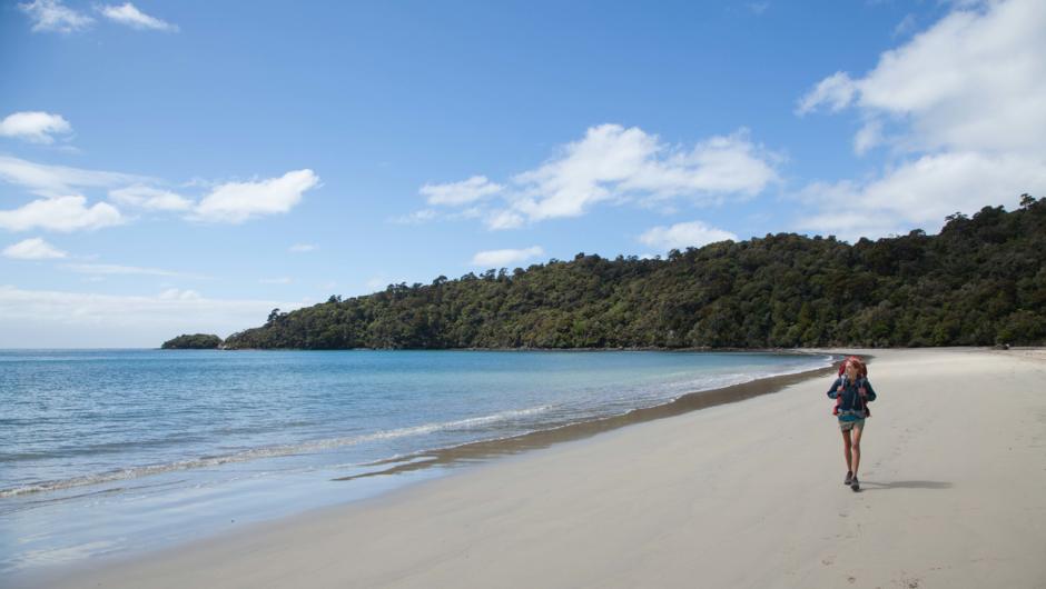 Rakiura Track, Maori Beach