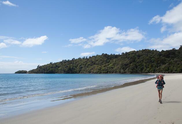 Stewart Island is a world where nature is very much in charge. Discover peace, birdsong and scenery that has barely changed in thousands of years. Find out how to plan your trek on the Rakiura Track, Great Walk.