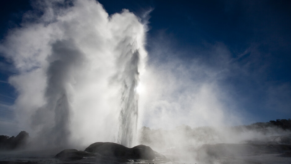 Te Puia's "Pohutu" Geyser at its finest