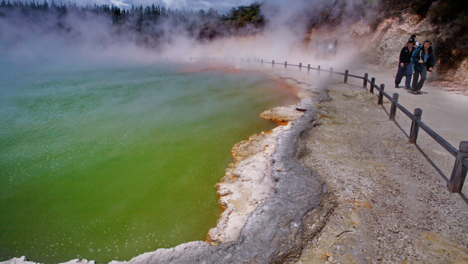 Discover the thermal areas of Rotorua