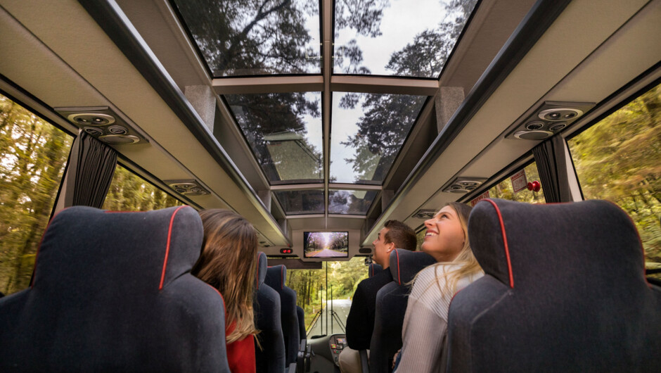 Milford Sound Coach & Cruise