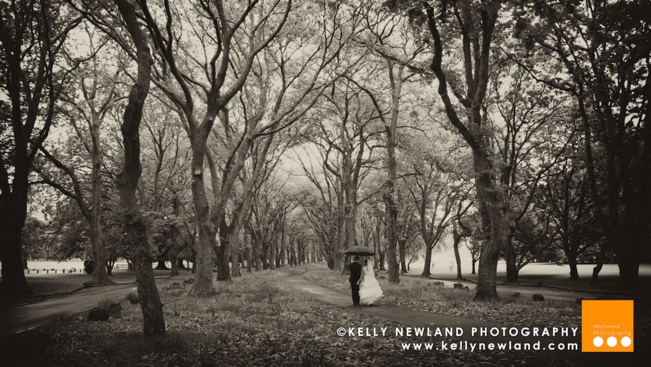 Queenstown Wedding Photographer