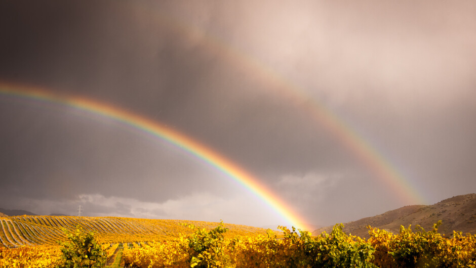 Ceres Wines - Double autumn rainbow
