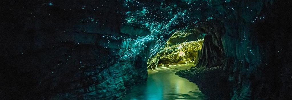 테아나우 반딧불 동굴