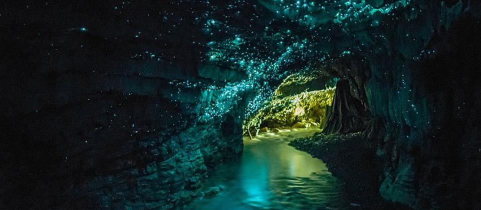 테아나우 반딧불 동굴