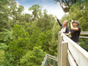 Enjoying the view from the canopy tower at Sanctuary Mountain Maungatautari