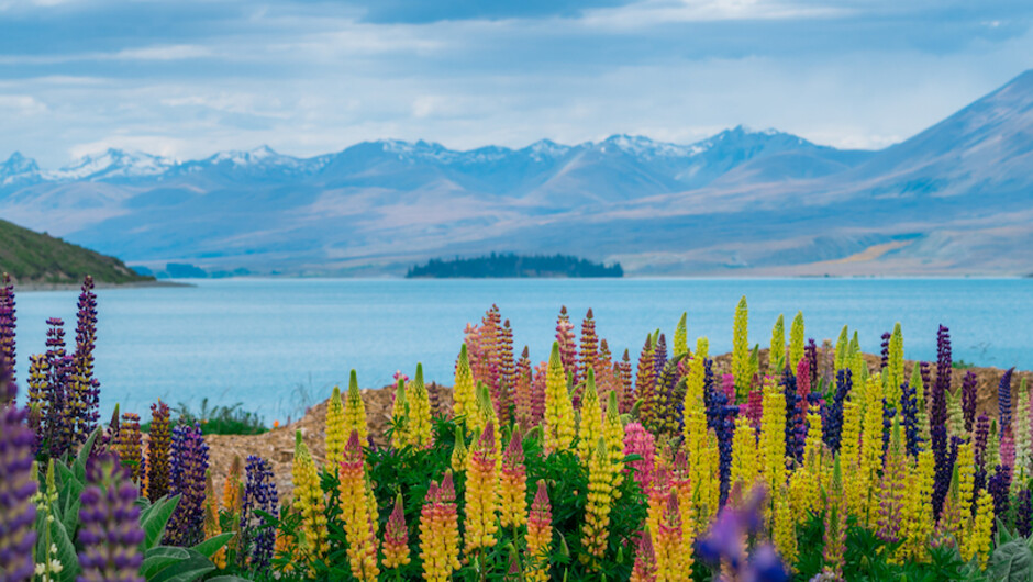 Landscape in New Zealand