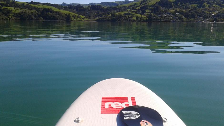 Red SUP in Akaroa Harbour