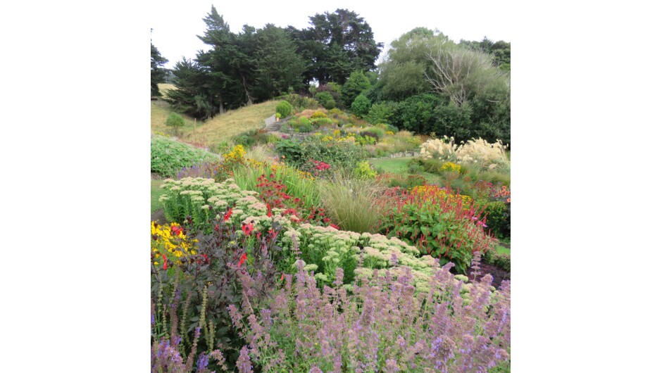 The perennial planting in our newest garden area