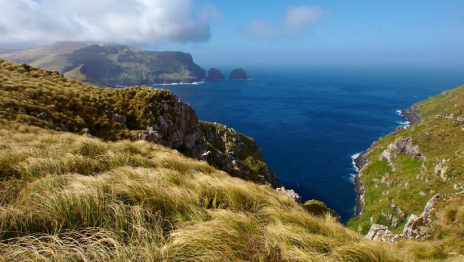 New Zealand Subantarctic Islands