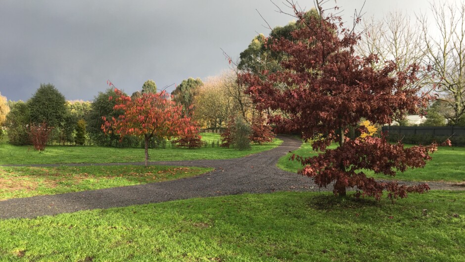 beautiful park like surroundings with autumn colours against the dark skies of winter