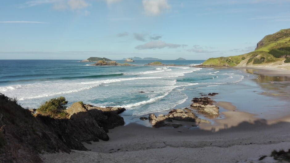 Ocean Beach offers great surf and white sand