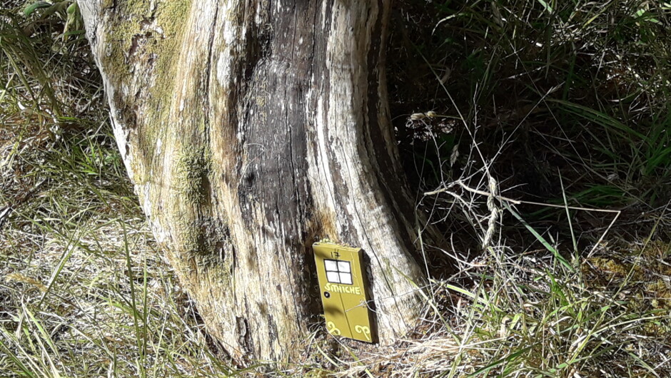 Hunt for secret fairy doors.