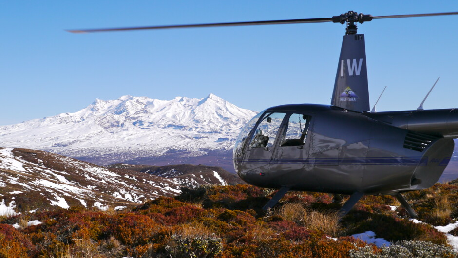 Mountain Magic Wilderness Landing