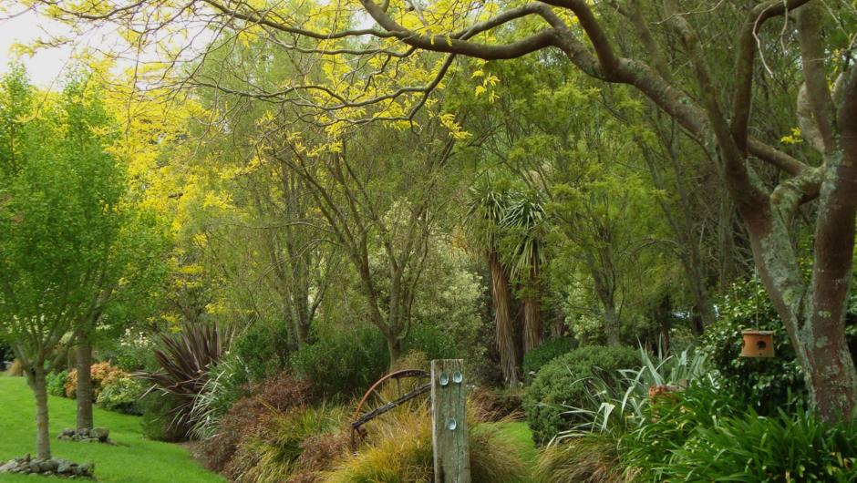 Spring at Kahikatea Gardens, a New Zealand Country Garden