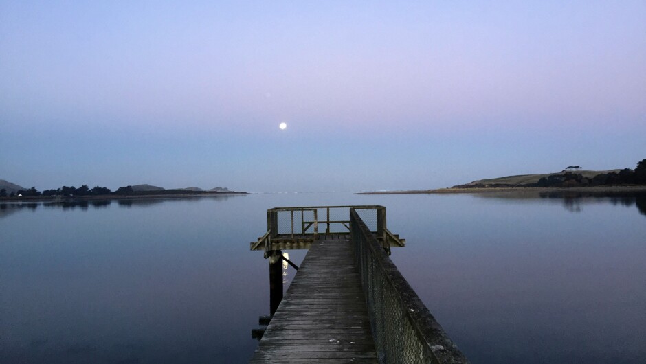 Pounawea Jetty