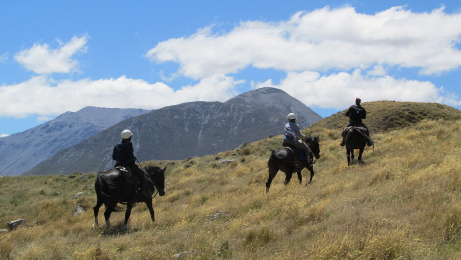 Lake Coleridge High Country