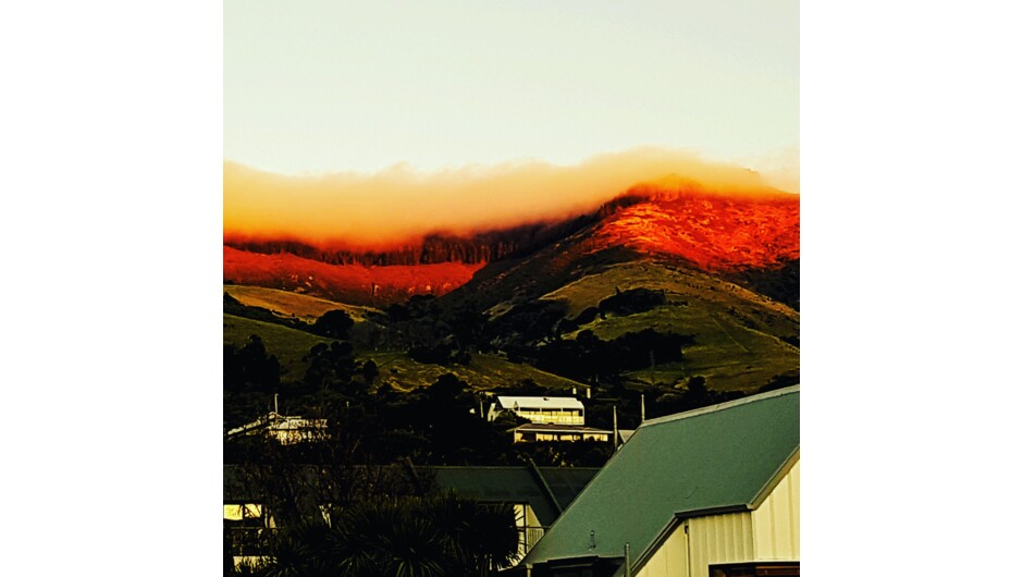 Late afternoon glow