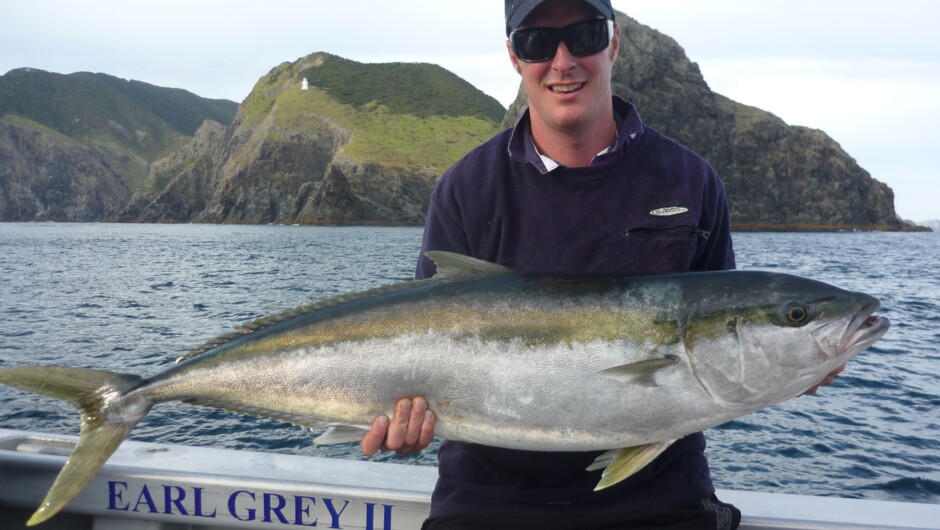 Yellowtail Kingfish caught aboard Earl Grey II