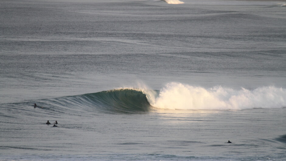NZ Surfing Adventures