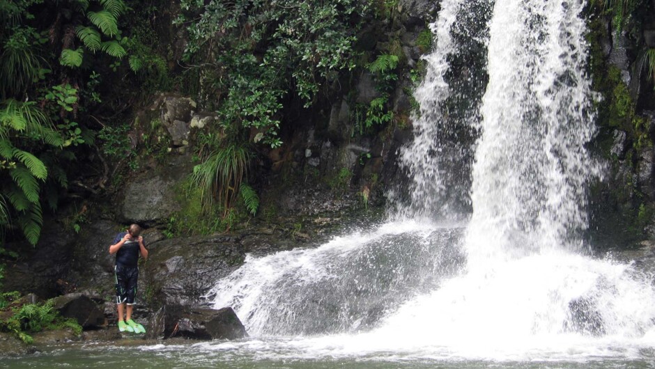 The Waiau Waterfall, 309 Rd, Coromandel Town.