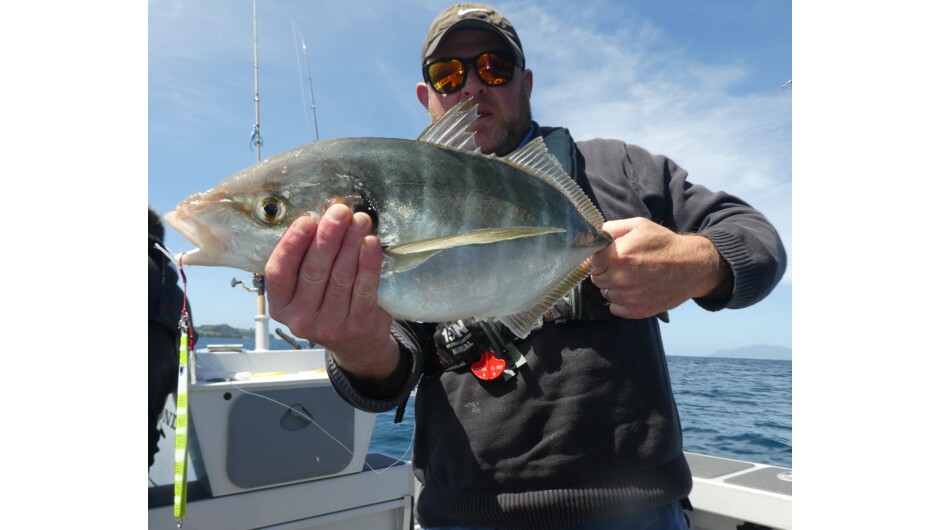 Trevally, caught on a jig