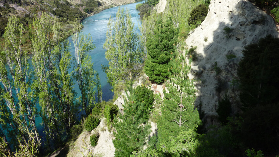 The mighty Clutha river, for a short and scenic walk near Wanaka