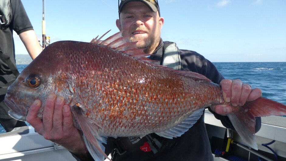 Snapper, caught on a jig