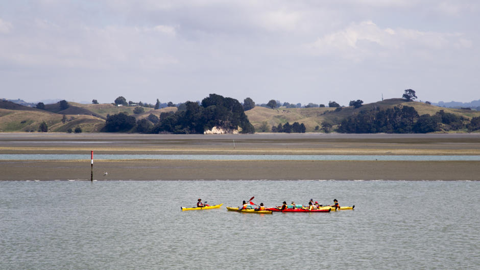 Kayaking on the Ohiwa Harbour