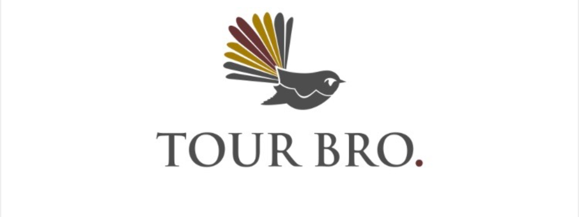 Logo: Tour Bro.