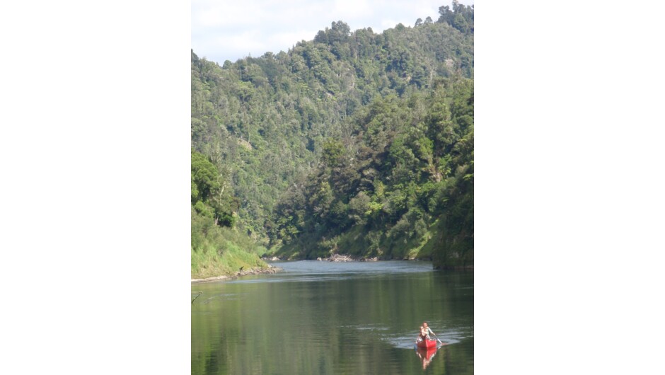 Canoeing the Whanganui river